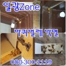 일광ZONE 이미지