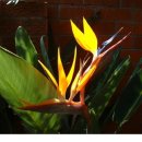 하늘마당-비상 이미지