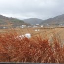 계현2구 이미지