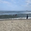 남항진동 | [강릉가볼만한곳] 여름휴가 피서지로 딱! 강릉 남항진해수욕장(샤워장, 편의시설 정보)