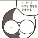 태권도 뒤돌려차기ko 이미지