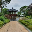 블루아라 이미지