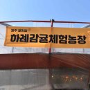 귤향체험농장