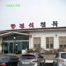청목 이미지