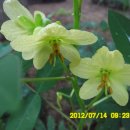 선산대로-13 이미지