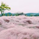 낙동강체육공원 자전거대여소 이미지