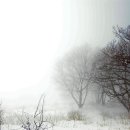 눈이행복한나라 이미지