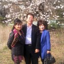 조은형 카카오 검색결과