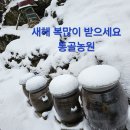 시골이야기