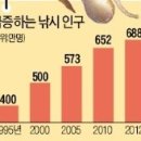 대한낚시 이미지