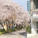 중앙-12(시청 상하수검침대행관리소 앞) | 맨날 늦어서 어이가 없어지는 2021년 4월