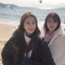 영지 이미지
