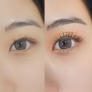 투썸플레이스낙양점 | 의정부민락속눈썹 루미나르뷰티 속눈썹클리닉복구펌