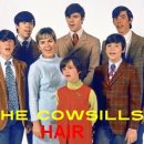 Hair - The Cowsills - 이미지