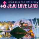 제주러브랜드 이미지