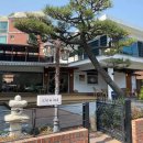 망고&체리 애견샵 이미지