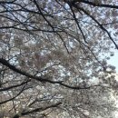 길세탁소 이미지