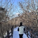 [영남알프스 인증 정복 1탄] 드디어 첫 도장 찍었다! 천황산 등반기