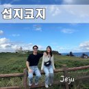 부모님과 제주도 동쪽 여행 코스 추천 섭지코지 주차 소요시간