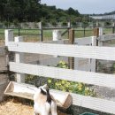 인혜농장 이미지