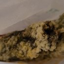 후포 비소 제04호 | 백종원 예산시장 맛집 재방문자의 총정리! 추천 맛집은?