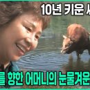 [전문위원단장의 단상] "왜 최근에는 협회의 코칭을 받아도 과제에 매번 탈락할까요? 협회의 실력에 문제가 있는 건 아닌가요?" 이미지