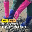 다대어촌체험휴양마을 | 거제 다대갯벌체험 다대어촌체험휴양마을 아이와 가볼만한 곳 입장료 물때시간표