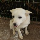 사산경로당 이미지