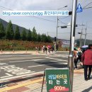 [5월의축제] 2탄, 하동양귀비축제