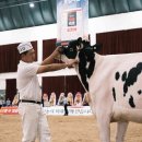 마동목장 이미지