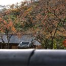 산과강