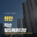 디와이월드