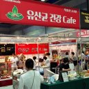 유산균 건강카페 이미지