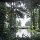 K-수리남 | 나트랑 여행 더아남 디럭스 킹룸 수영장 조식 k배달 퀸스파 후기