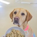 홈카페 브런치 B 이미지