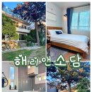 해리앤소담 | [제주 숙소] 애월 “해리앤소담” 202호 만족후기