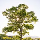 광주도자기엑스포장 | 곤지암 도자공원(유채밭&amp;스페인조각공원)