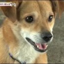 해선농장 이미지