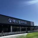 애니멀 라이프 | 동물먹이주기부터 대형에어바운스까지, 애니멀라이프 솔직후기