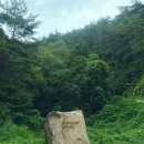 커피숲 이미지