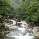 장안산군립공원(덕산계곡) 이미지