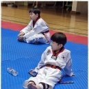 예전태권도 이미지