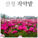 선원 경로당 이미지