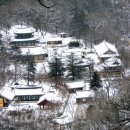 마곡사힐링마을민박 | 국보가 된 오층석탑 공주 마곡사, 겨울 템플스테이로 힐링까지!