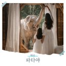 성전일식 | 방콕 파타야 여행 숙소 가볼만한곳 해산물 맛집 총정리