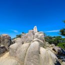 광천정기시장 이미지