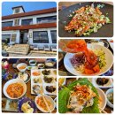 거북곰장어 이미지