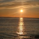 뚱이네야식 | 꿈꾸는 동안 우리는 그 꿈을 살아간다