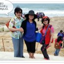 수정2공인중개사사무소 이미지