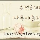 조세탁소 이미지